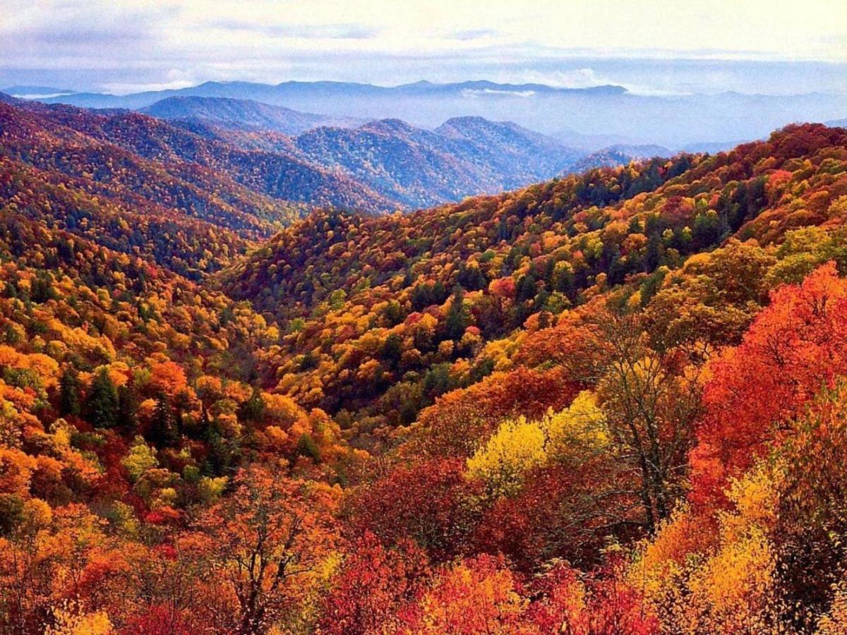 Wow Views!!-Mountain Escape-Outdoor Pool-Close To Downtown-Wifi-Cable-Private Balcony Gatlinburg Exterior foto